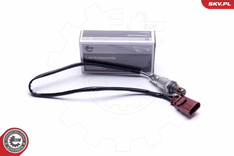 Oxygen Sensor
